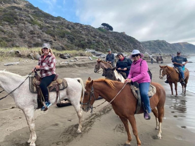 Single Mingle Trip to Salt Point State Park